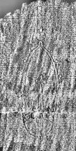 Wasserzeichen DE3315-GM13.B.VIII._41