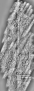 Wasserzeichen DE3315-GMLIII.E.120._152