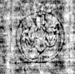 Wasserzeichen DE5580-Cod.ital.37.a.b.c_2