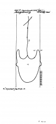 Wasserzeichen AT3800-PO-58615