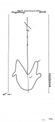 Wasserzeichen AT3800-PO-58754