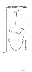 Wasserzeichen AT3800-PO-60882