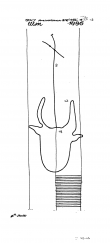 AT3800-PO-61263 - Typ:1 - ID: 5946 - Eintrag Nr.: 303 Wasserzeichen AT3800-PO-61263