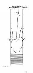 Wasserzeichen AT3800-PO-61429