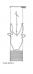 AT3800-PO-61448 - Typ:1 - ID: 5960 - Eintrag Nr.: 304 Wasserzeichen AT3800-PO-61448
