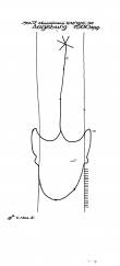 Wasserzeichen AT3800-PO-62628