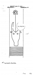 Wasserzeichen AT3800-PO-65326