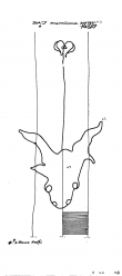 Wasserzeichen AT3800-PO-71902