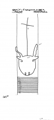 Wasserzeichen AT3800-PO-74180