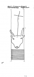 Wasserzeichen AT3800-PO-74181