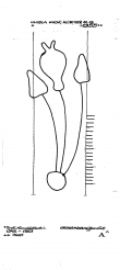 Wasserzeichen AT8100-PO-127201