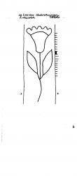 Wasserzeichen BE4905-PO-127168