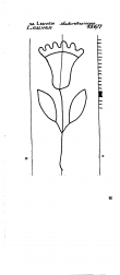 Wasserzeichen BE4905-PO-127170