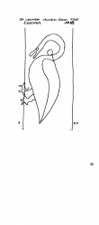 Wasserzeichen BE4905-PO-42359