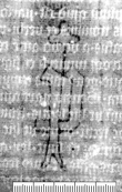 DE0465-Cim51_7 - Typ:0 - ID: 11437 - Eintrag Nr.: 7 Wasserzeichen DE0465-Cim51_7