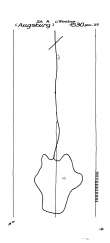 Wasserzeichen DE0480-PO-58276