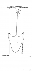 Wasserzeichen DE0480-PO-62647