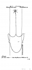 Wasserzeichen DE0480-PO-62650