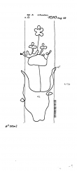 Wasserzeichen DE0480-PO-64161