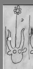 Wasserzeichen DE0510-CodII12_104_191