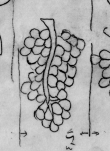 Wasserzeichen DE0510-CodII12_120_12