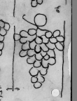 Wasserzeichen DE0510-CodII12_120_49