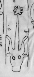 Wasserzeichen DE0510-CodII12_132_189