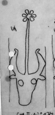 DE0510-CodII12_134_VSIX - Typ:0 - ID: 12258 - Eintrag Nr.: 7 Wasserzeichen DE0510-CodII12_134_VSIX