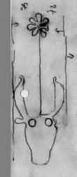 Wasserzeichen DE0510-CodII12_139_76