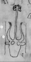 Wasserzeichen DE0510-CodII12_143_40