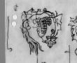 DE0510-CodII12_148_72 - Typ:0 - ID: 12428 - Eintrag Nr.: 6 Wasserzeichen DE0510-CodII12_148_72
