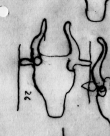 Wasserzeichen DE0510-CodII12_170_26