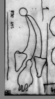 Wasserzeichen DE0510-CodII12_171_268