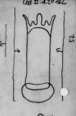 Wasserzeichen DE0510-CodII12_182_52