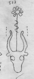 Wasserzeichen DE0510-CodIII12_22_XXX