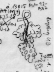 Wasserzeichen DE0510-CodIII12_40_Y