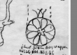 Wasserzeichen DE0510-CodIII12_9_YYY