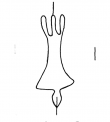 DE0795-M_I_16_17 - Typ:0 - ID: 13137 - Eintrag Nr.: 71 Wasserzeichen DE0795-M_I_16_17