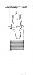DE1335-PO-78885 - Typ:1 - ID: 14255 - Eintrag Nr.: 6 Wasserzeichen DE1335-PO-78885