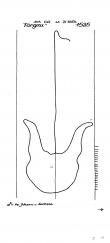 Wasserzeichen DE1635-PO-56446