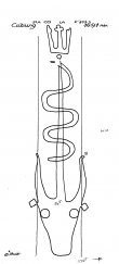 Wasserzeichen DE1635-PO-71277