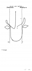 DE1785-PO-56421 - Typ:1 - ID: 15001 - Eintrag Nr.: 13 Wasserzeichen DE1785-PO-56421
