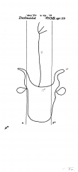 Wasserzeichen DE1785-PO-63656