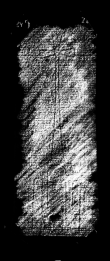 DE1935-Mscr_Dresd_M_54_284 - Typ:0 - ID: 15349 - Eintrag Nr.: 5 Wasserzeichen DE1935-Mscr_Dresd_M_54_284