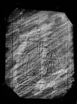 Wasserzeichen DE1935-Mscr_Dresd_M_69m_73