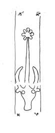 DE1935-Mscr_Dresd_P_216_14 - Typ:0 - ID: 15454 - Eintrag Nr.: 3 Wasserzeichen DE1935-Mscr_Dresd_P_216_14