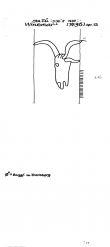 Wasserzeichen DE2040-PO-81603