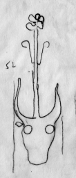 DE2220-Codst_207_52 - Typ:0 - ID: 17731 - Eintrag Nr.: 35 Wasserzeichen DE2220-Codst_207_52