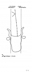 Wasserzeichen DE2580-PO-63653