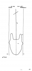 Wasserzeichen DE2610-PO-57404